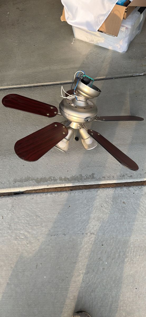 Ceiling fan with lights