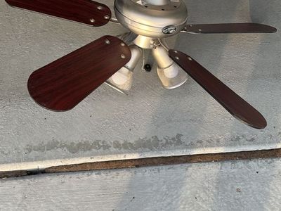 Ceiling fan with lights