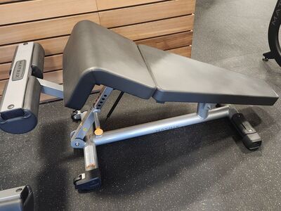 Decline Bench - Life Fitness/Matrix