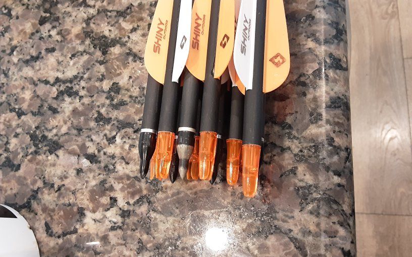11 carbon Arrows with vanes & points