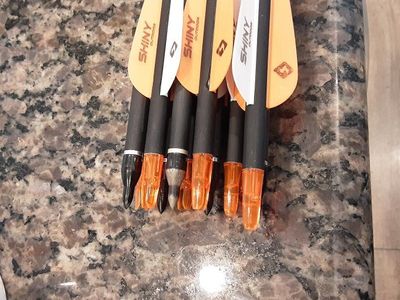 11 carbon Arrows with vanes & points