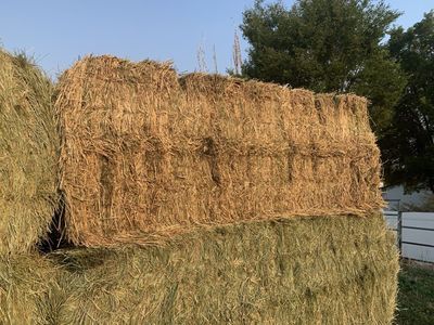 3x4x8 Alfalfa Hay