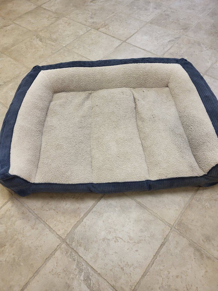 large dog bed