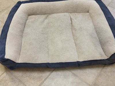 large dog bed
