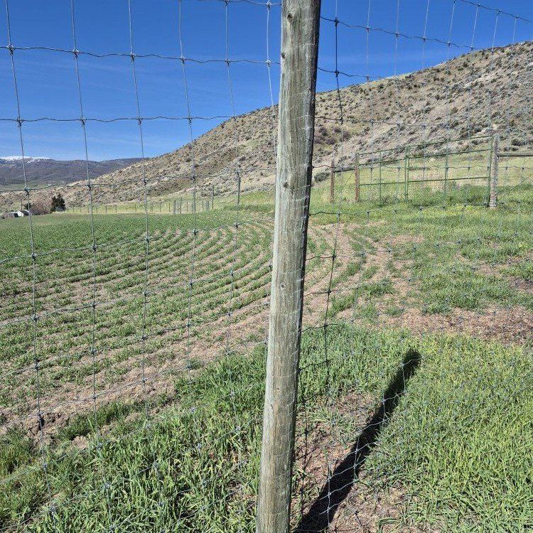 12 ft treated posts