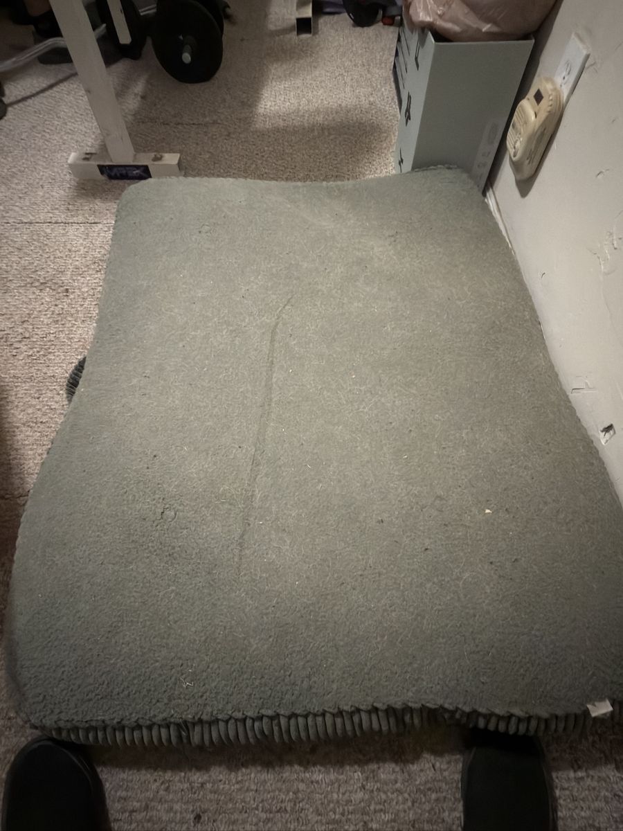 Dog bed