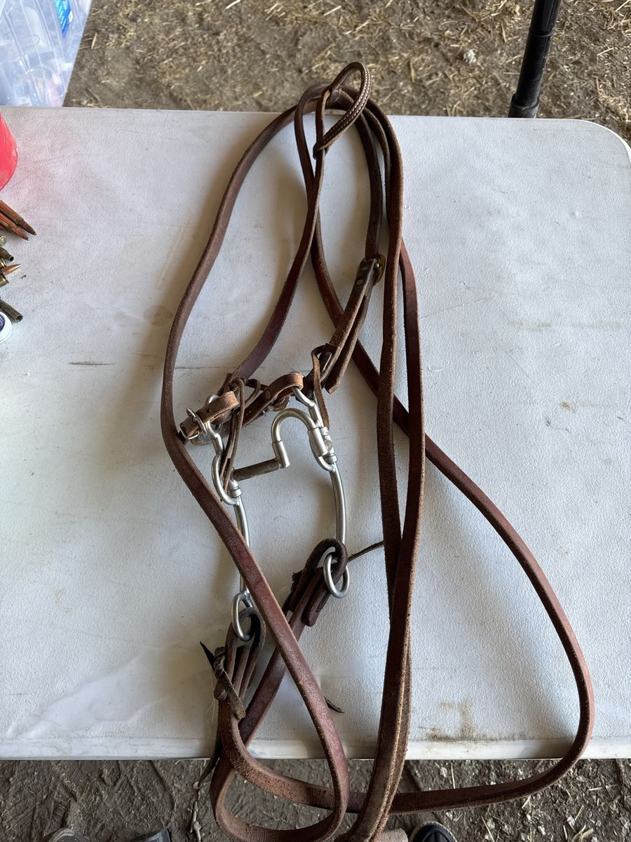 Tom Balding USA Western Leather Horse Bridle with Bit