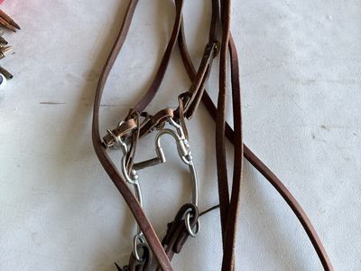 Tom Balding USA Western Leather Horse Bridle with Bit