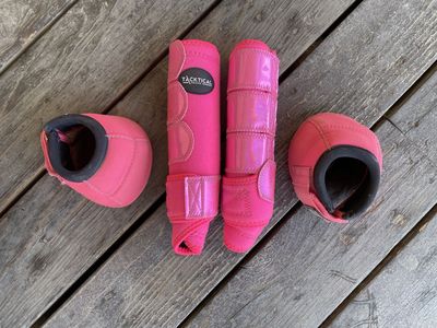 Horse boots