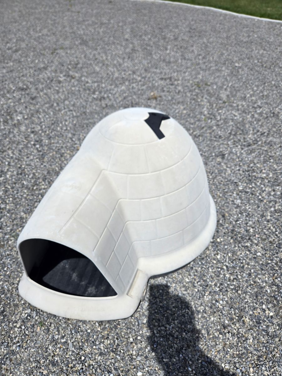 Dog Igloo