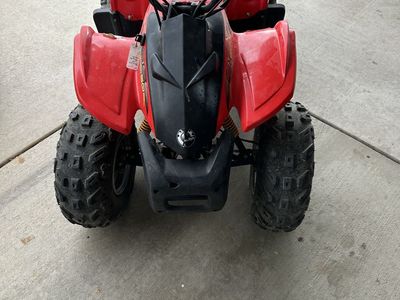2006 can am ds50