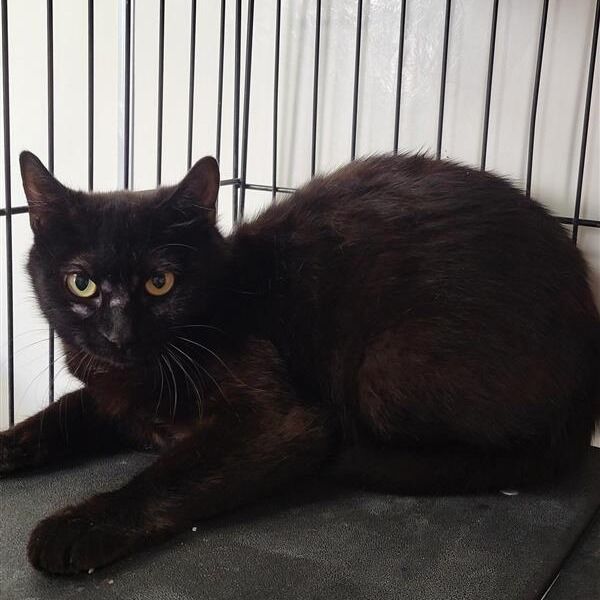 Hello my name is Andrea