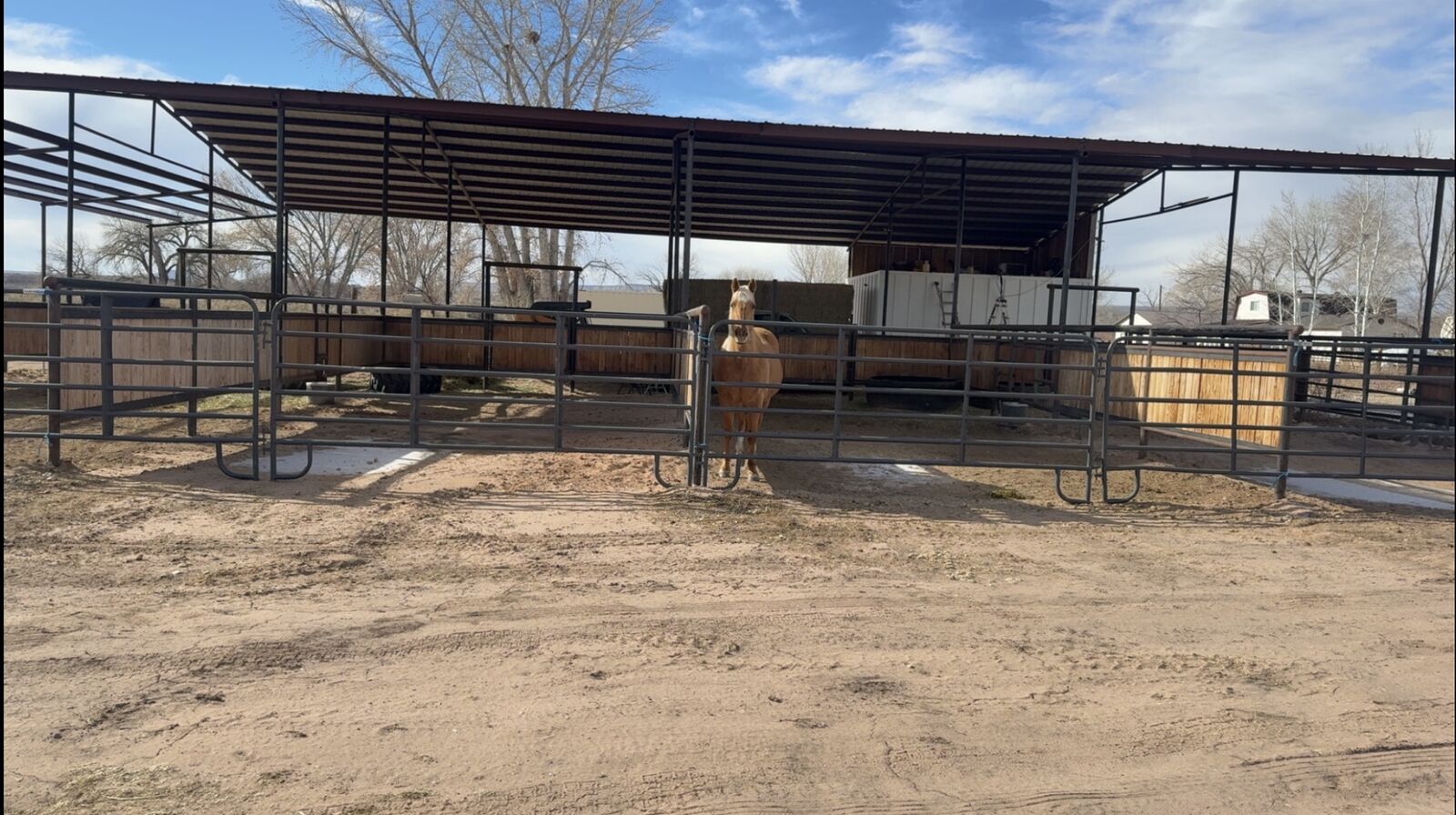 Barns/ Pipe fence, pipe feeders