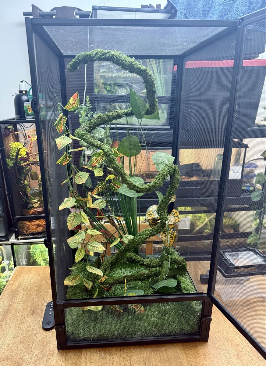 Large Black Mesh Reptile Enclosure with Artificial Plants & Branches - Good Condition