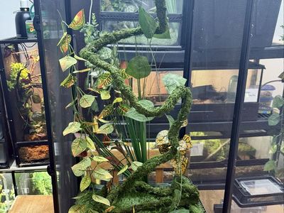 Large Black Mesh Reptile Enclosure with Artificial Plants & Branches - Good Condition