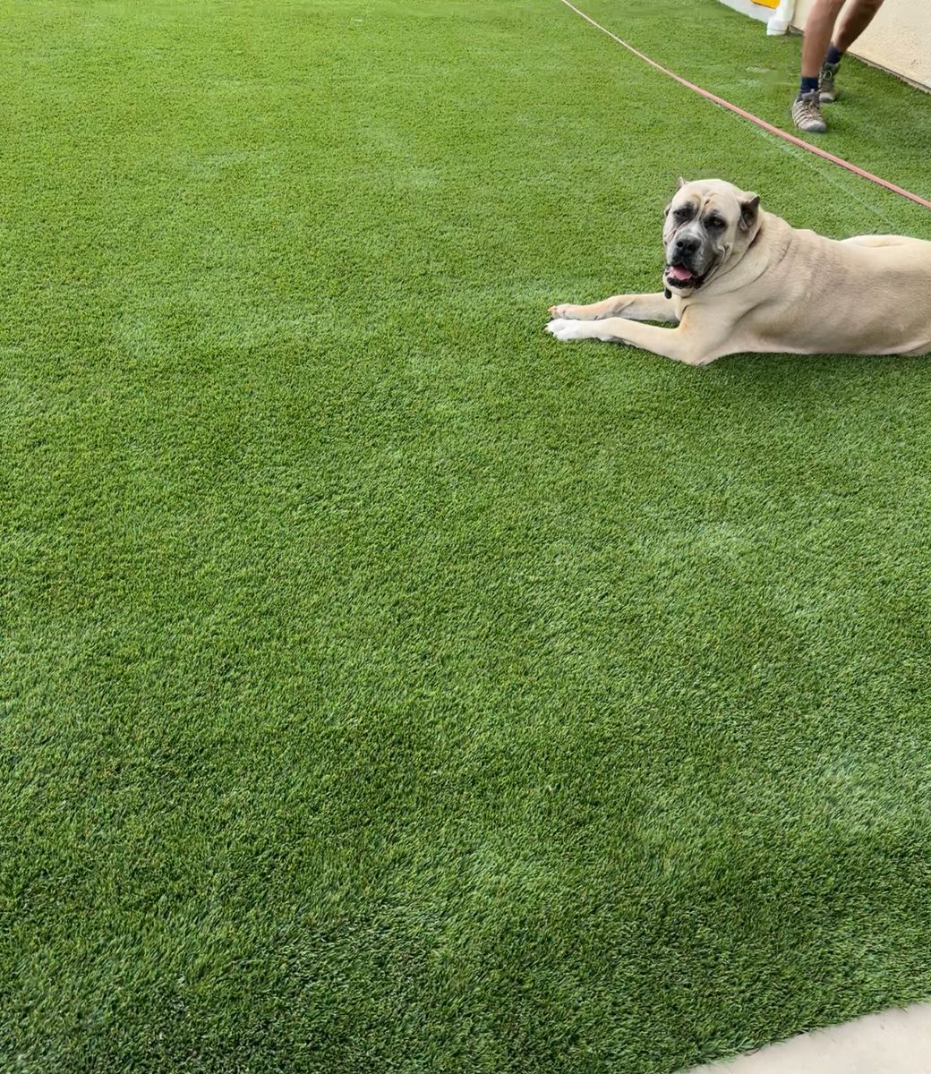 Realistic looking Artificial Turf