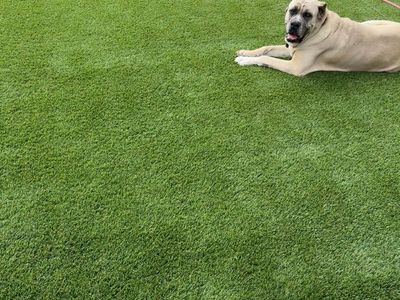 Realistic looking Artificial Turf