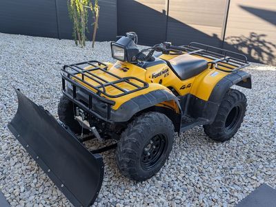 2001 Honda Foreman 450ES with Snowplow