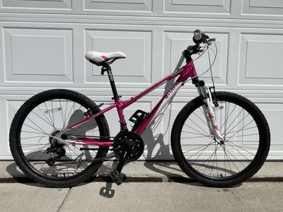 24in Haro FL3G Pink Mountain Bike (XS)