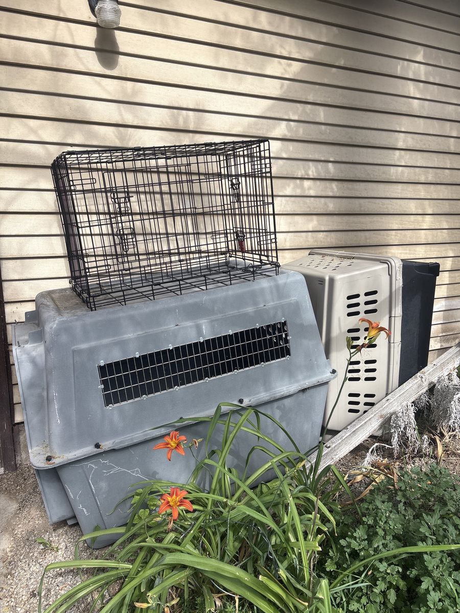 Three separate dog carriers for sale