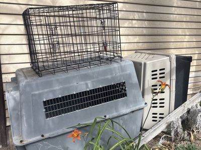 Three separate dog carriers for sale