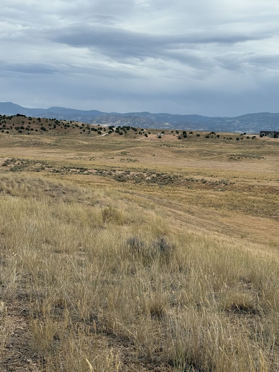 Main image 13