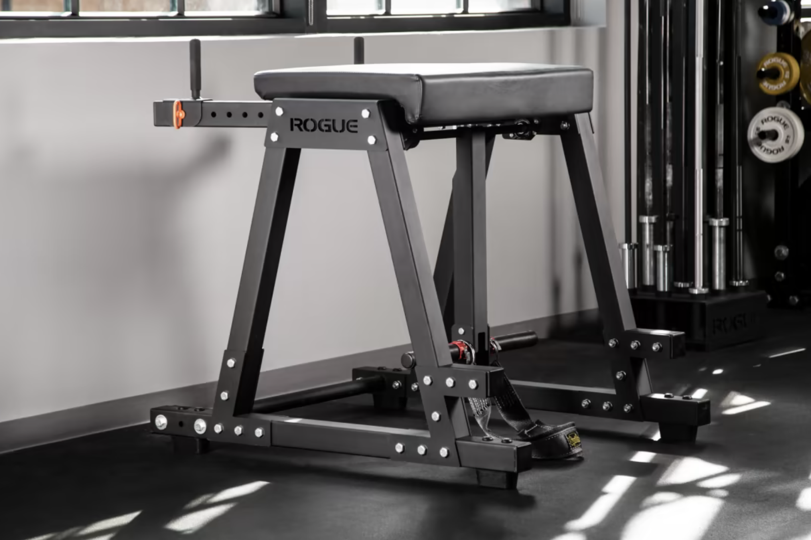 Rogue Z Hyper - Reverse Hyper machine