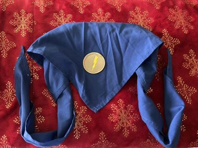 Bou Scouts Of Amerca BSA Troop Neckerchief