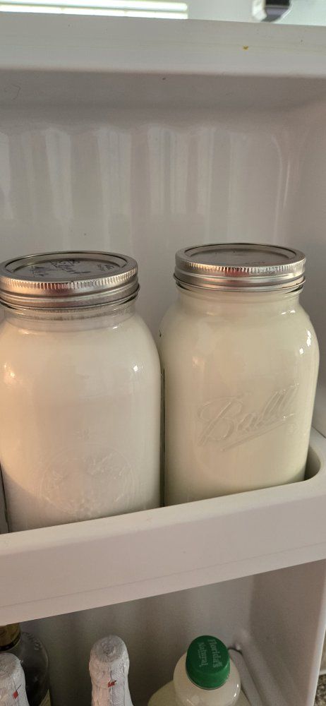 Delicious cold goats milk (Pet grade)