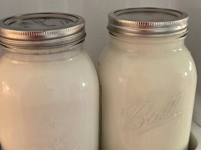 Delicious cold goats milk (Pet grade)