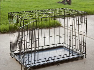 Brand new xl dog crate kennel extra large size
