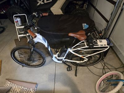 Radcity Electric Bike