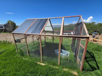 Chicken coop, chicken run, outdoor Aviary, quail, pheasant, finches, greenhouse, dog cage, cat cage