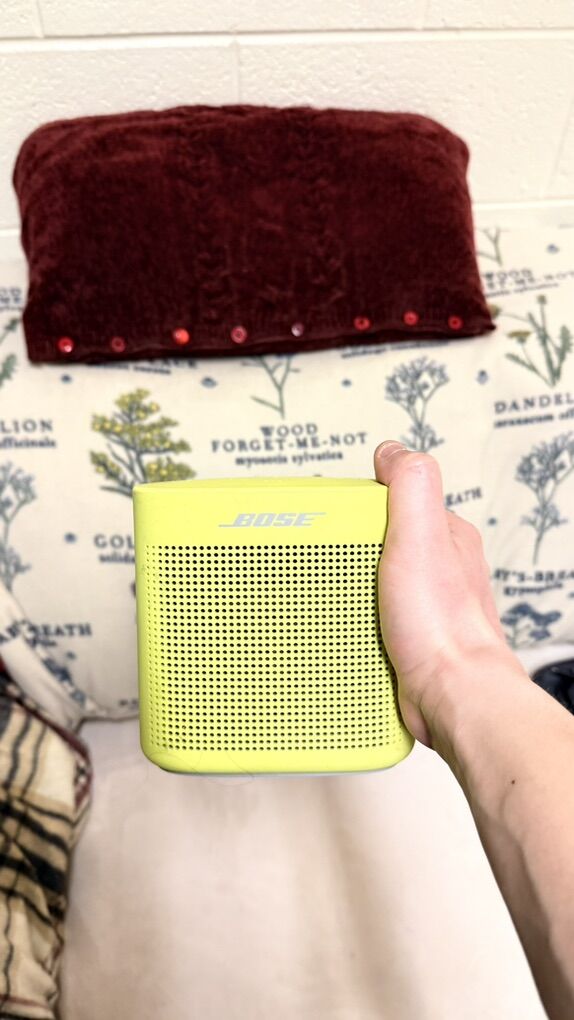 Bose SoundLink Color II