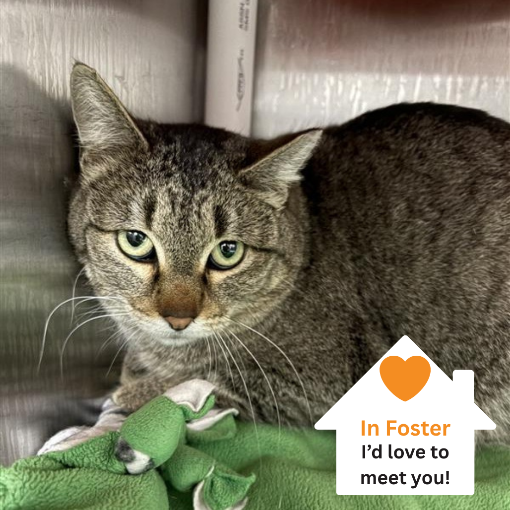 Hello my name is Rene