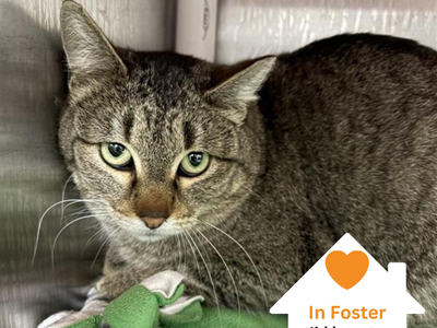 Hello my name is Rene