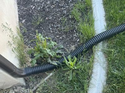 Weeds Removal Yard Clean Up Mowing Great Prices