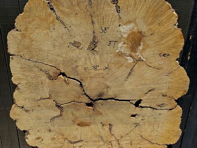 Beautiful burl wood slab 58"/48 x 3"