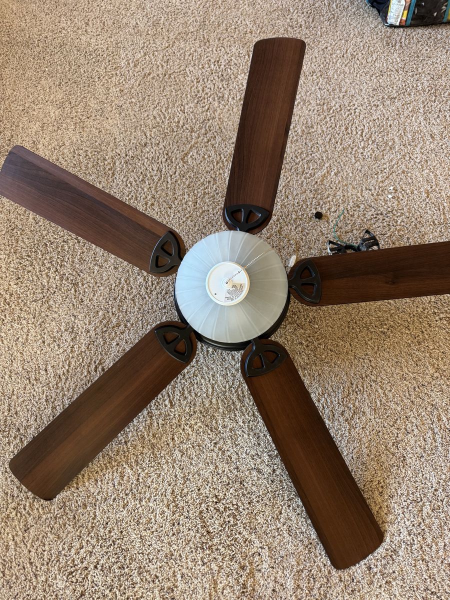 Ceiling fan with light