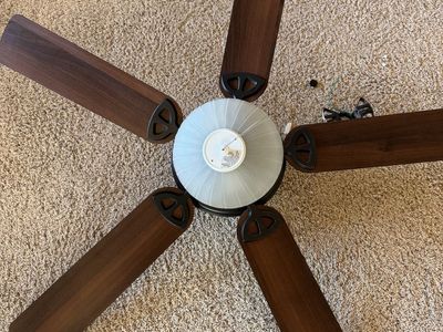 Ceiling fan with light