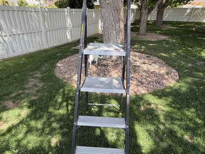 6 ft fiberglass ladder (Gorilla)