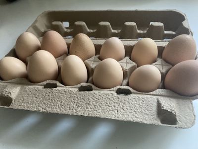 Pastured Eggs