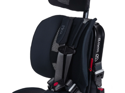 Pico Travel Car Seat