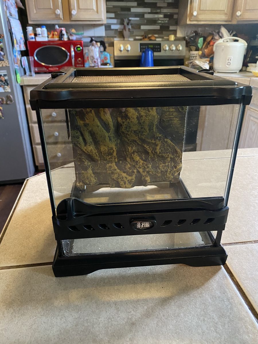 Exo Terra glass tank