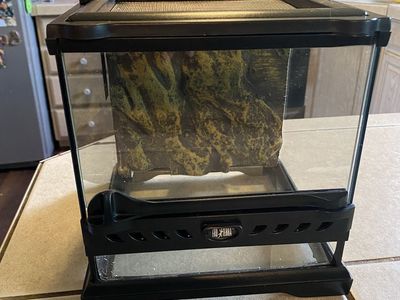 Exo Terra glass tank