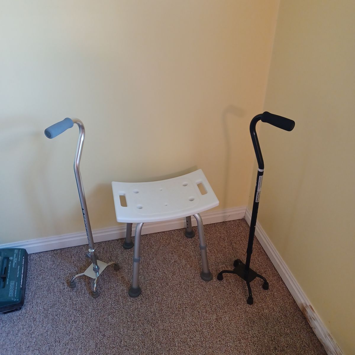 Canes and shower chair. $15 ea.