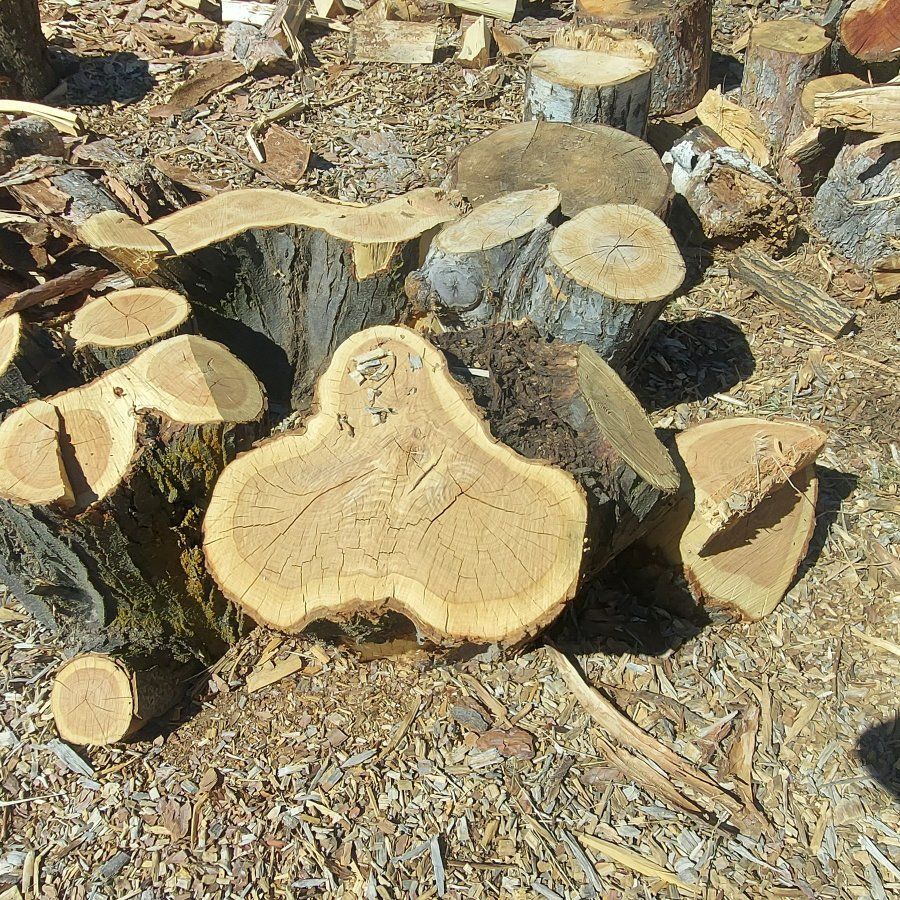 free Maple wood chunks