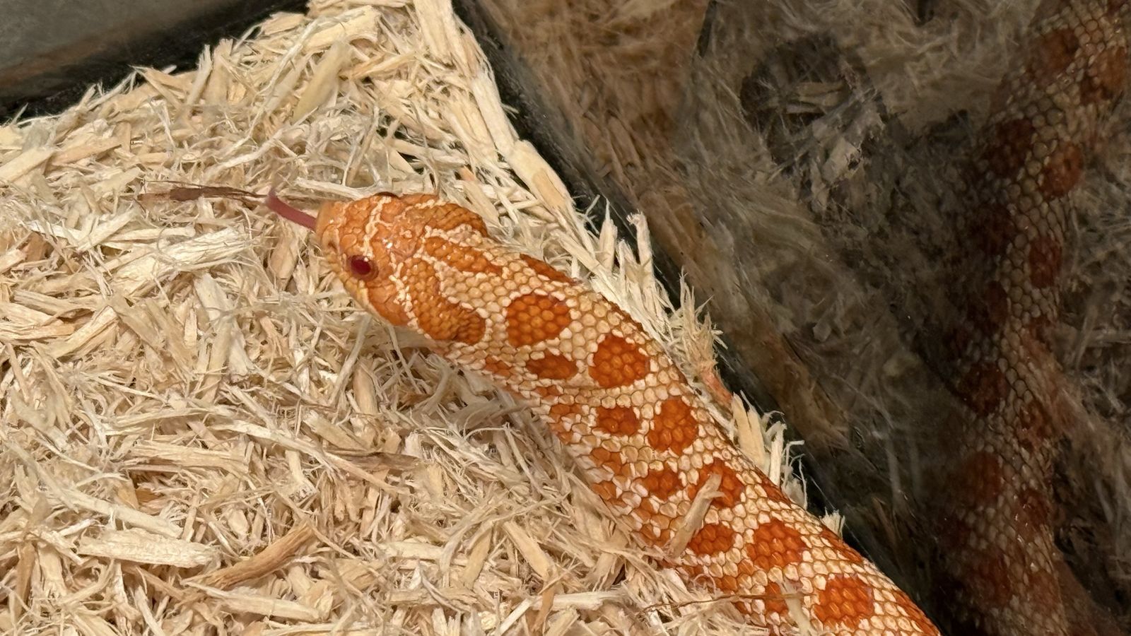 Main image 3