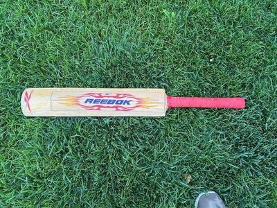 Pro Cricket Bat