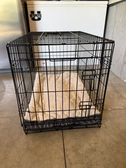 Wire Dog Crate with Serta Pet Bed - Black Metal